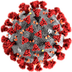 CORONAVIRUS (COVID-19)